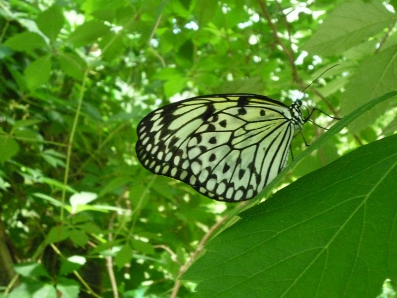 Катерина Латнер фотография #7