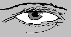 Фотография Завьялова Светлана