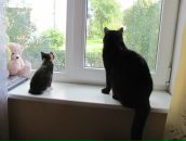 Любовь Духанова фотография #29 (источник - https://vk.com/id5068523)