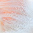 Ірина Кукурудза фотография #36 (источник - https://vk.com/id22514152)