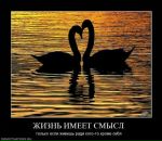 Надінька Козимчак фотография #38 (источник - https://vk.com/id71846542)