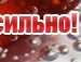 Свєтік Муц фотография #43 (источник - https://vk.com/id68552079)