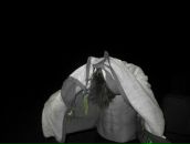 Фотография Нартова Артемия