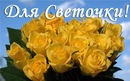 Голіната Світлана фотография #48 (источник - https://vk.com/id70881949)