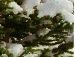 Оля Лоїк фотография #33 (источник - https://vk.com/id125478801)
