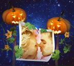 Фотография Самкиной Екатерины