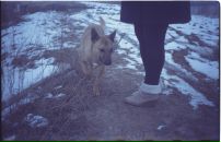 Дмтр Мксмв фотография #15 (источник - https://vk.com/id628801)