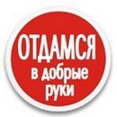 Фотография Иванова Сереги