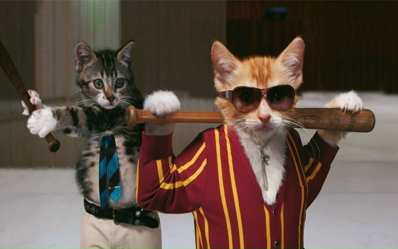 Данил Ханов фотография #37