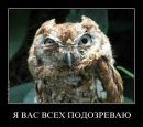 Фотография Белой Анастасии