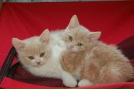 Фотография Бронниковой Веры