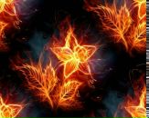 Фотография Шлыкова Сергея