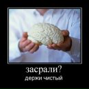 Фотография Степаненко Дениса