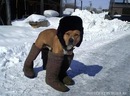 Андрій Манько фотография #25 (источник - https://vk.com/id140778484)