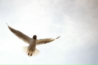 Фотография Геруса Вовы