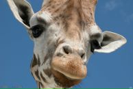 Фотография Зыковой Лены