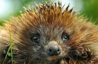 Фотография Фетисовой Натальи