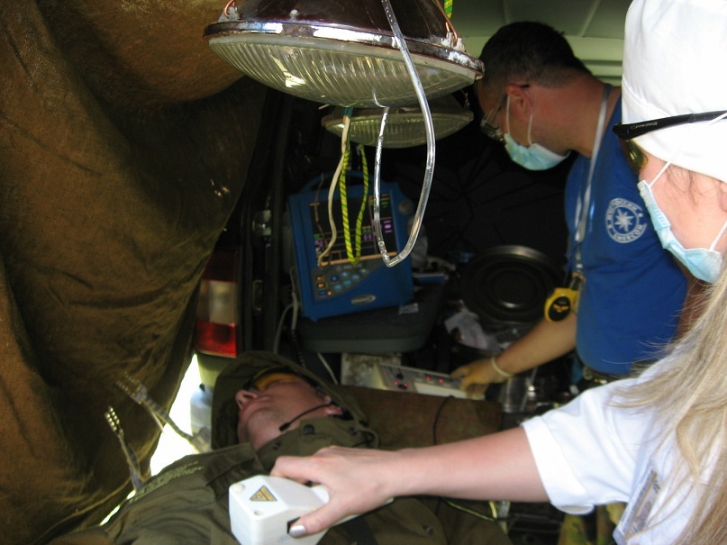 Lion Cat фотография #19