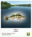 Сергій Стахів фотография #45 (источник - https://vk.com/id137486060)