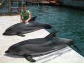 Фотография Данилова Андрея