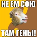 Фотография Васильевой Анастасии