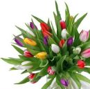 Аліна Бутієць фотография #19 (источник - https://vk.com/id97027438)