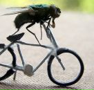 Фотография Старцевой Ангелины