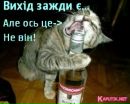 Вовік Кирилович фотография #29 (источник - https://vk.com/id152590878)