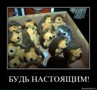 Фотография Бондарь Елизаветы