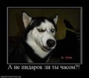 Фотография Костина Константина