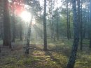 Віталій Костюченко фотография #44 (источник - https://vk.com/id19033675)