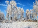 Тарас Тріщ фотография #22 (источник - https://vk.com/id32314785)
