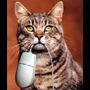 Катюха Прошошкина фотография #24 (источник - https://vk.com/id49381707)