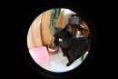 Дмитрий Митрохин фотография #20 (источник - https://vk.com/id3066087)