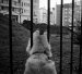  фотография #38
