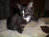 Галя Болехівська фотография #27 (источник - https://vk.com/id8996694)