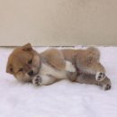 Міша Погоріський фотография #39 (источник - https://vk.com/id19114906)