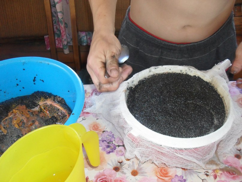 Софрон Сергеев фотография #18