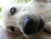 Фотография Смирновой Анастасии