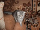 Шевчук Сергій фотография #28 (источник - https://vk.com/id20495548)