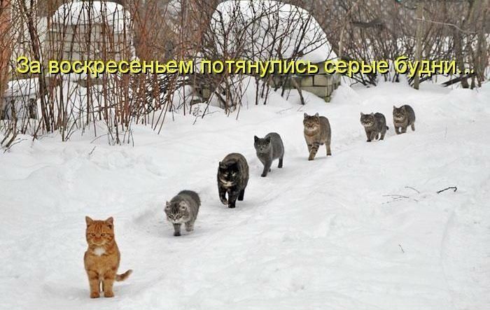 Антон Сильченко фото №13
