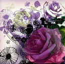 Марія Ганджа фотография #23 (источник - https://vk.com/id168338962)