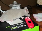 Фотография Кузуб Лены