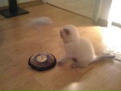 Оксана Долінська фотография #31 (источник - https://vk.com/id9744566)