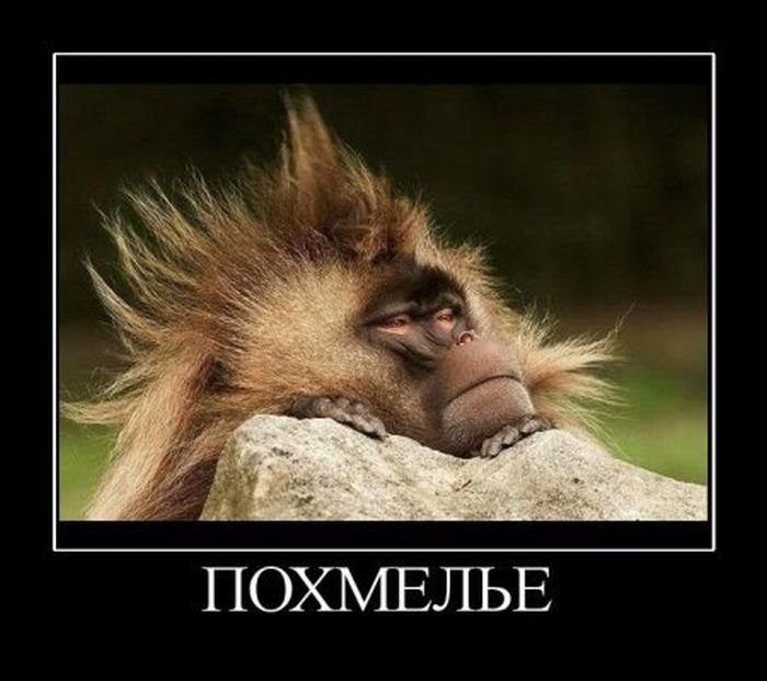 Игорь Будник фотография #13