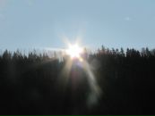 Вова Півторацький фотография #37 (источник - https://vk.com/id136942196)