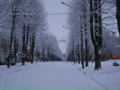 Сергій Терещук фотография #16 (источник - https://vk.com/id17399218)