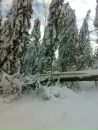 Андрій Довбуш фотография #30 (источник - https://vk.com/id48398287)