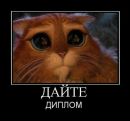 Іван Туревич фотография #22 (источник - https://vk.com/id15780712)