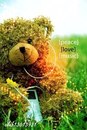 Юлія Семенович фотография #13 (источник - https://vk.com/id157049478)